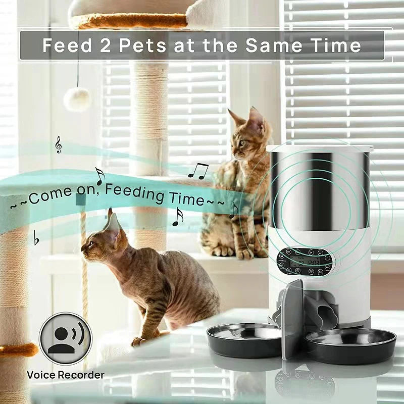 Automatischer Futterspender mit App-Steuerung – Doppelkammer-Futternapf aus Edelstahl für Katzen und kleine Hunde